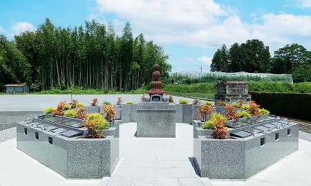 樹木葬・永代供養墓